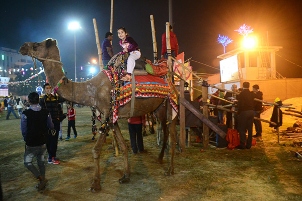 Camel Ride